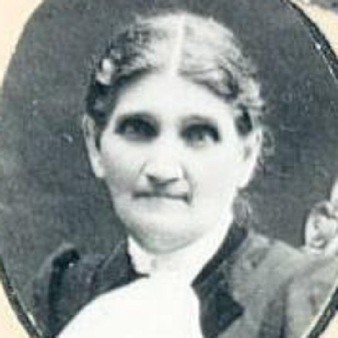 Susan Eveline Greene (1843 - 1915) Profile